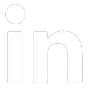icon linkedin