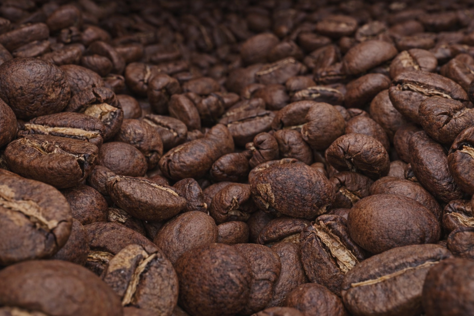 Grains de café photographiés pour une création publicitaire